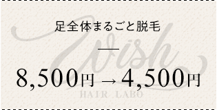 足全体まるごと脱毛 ¥8500→¥4500