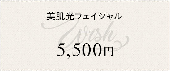 美肌光フェイシャル ¥5500