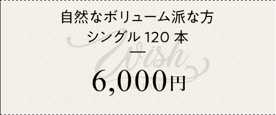 自然なボリューム派な方 シングル120本 ¥6000